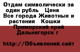 Отдам символически за один рубль › Цена ­ 1 - Все города Животные и растения » Кошки   . Приморский край,Дальнегорск г.